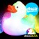 Light Up Bath Duck - Disco Duck 1